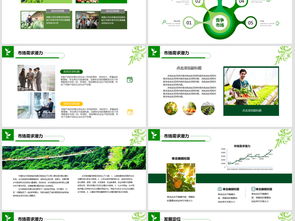 2018互聯(lián)網(wǎng)+農(nóng)副產(chǎn)品市場推廣企業(yè)營銷策劃案模板與設(shè)計素材指南