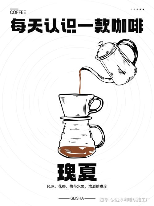 咖啡市場的核心競爭力 OEM/ODM賦能品牌差異化增長策略